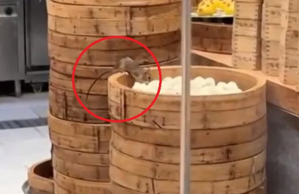 811326930fed1be168a0948fee8969a1_1731328653_3905.jpeg