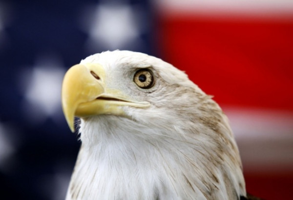 5dce14313af9c17c75cdd13afb972661_1735134647_6567.jpeg